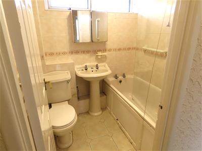 Picture 15